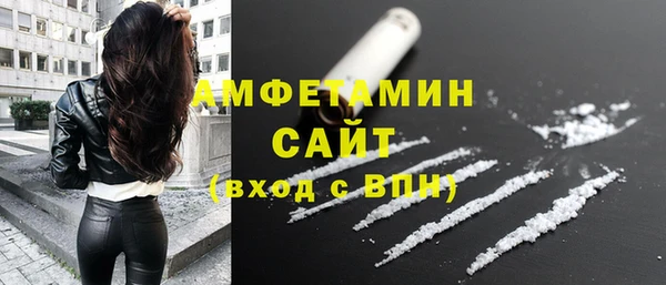 мет Ельня