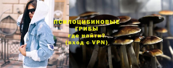мет Ельня