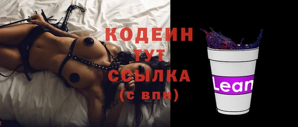 мет Ельня