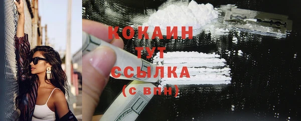мет Ельня