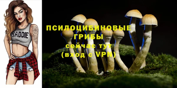 гидропоника Елабуга