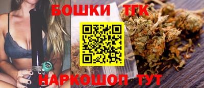 бошки Камышлов