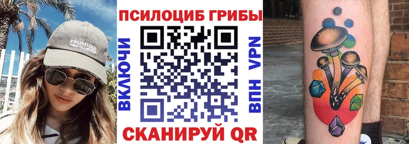 наркота  Лабытнанги  Псилоцибиновые грибы мицелий 