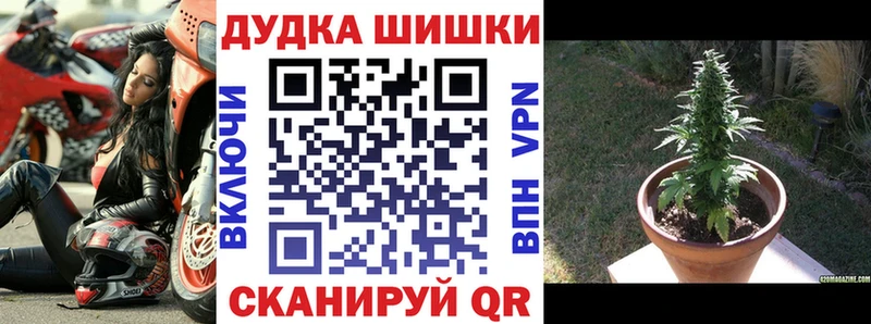 Канабис Ganja Лабытнанги